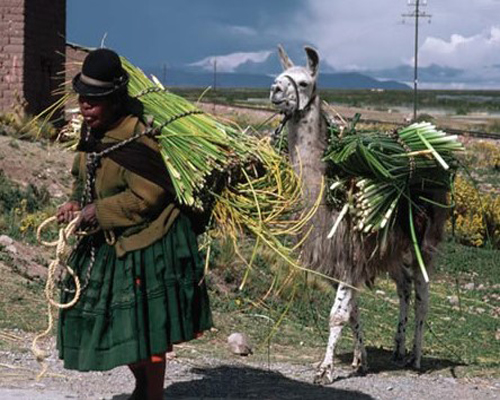 Kanem-Bornu-rijk door de eeuwen heen.